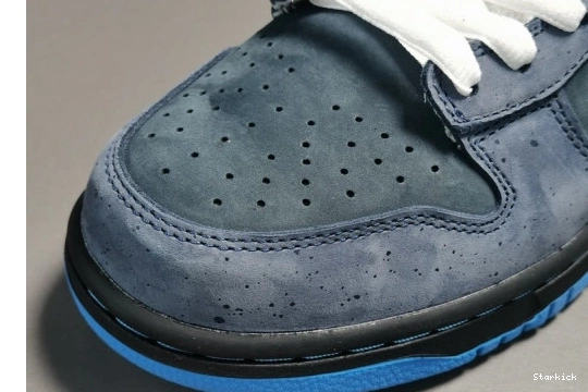 Low Nike Lobster 313170-342 Blue Dunk - SB 0112